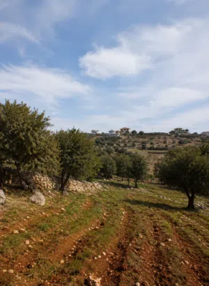 أرض سكنية مميزة للبيع في زي - السلط