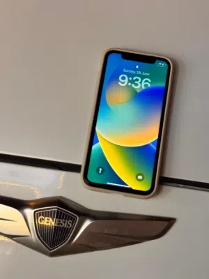 IPHONE X 256GB