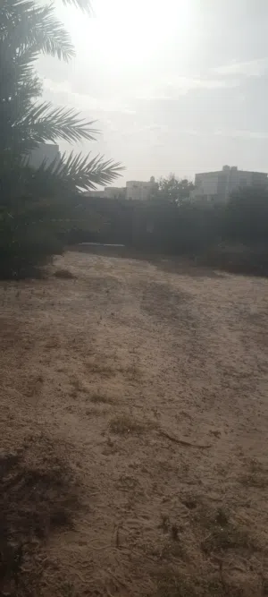 Mixed Use Land for Rent in Tripoli Tajura