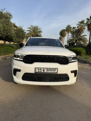 دوج دورنكو 2023