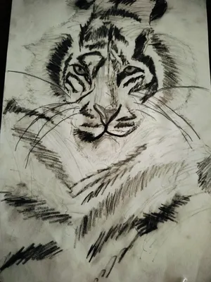 Paintings - Frames . New3