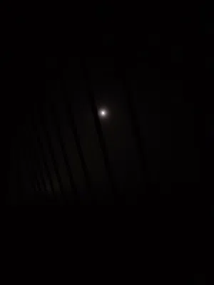 توفيق قطينه 