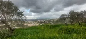 Mixed Use Land for Sale in Nablus Al-Ameriya