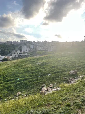 Residential Land for Sale in Amman Abu Al-Sous