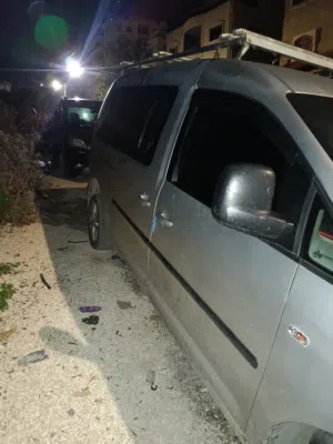 كادي 2012 للبيع