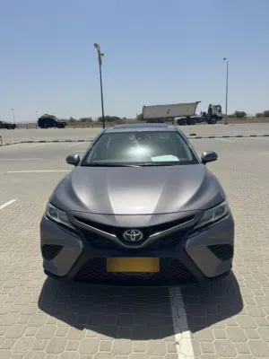 Used Toyota Camry in Buraimi