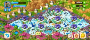 township account level 224