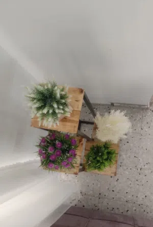 ستاند ورفوف ورد