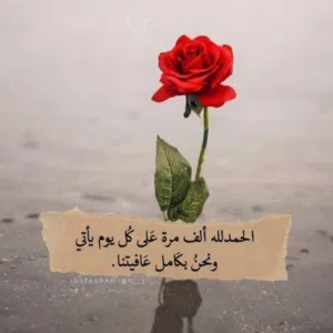 Asmaa Baker 