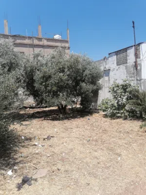 185 m2 4 Bedrooms Townhouse for Rent in Irbid Huwwarah