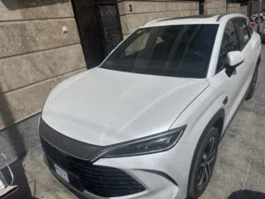 Song L 2025