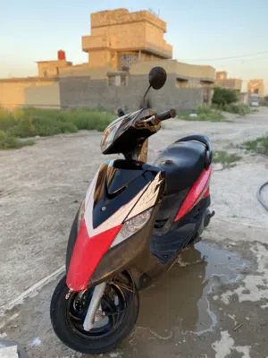 ثعلب كابريتر كفالة