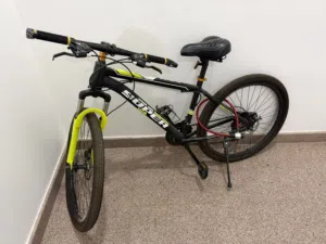 Bicycle Green
