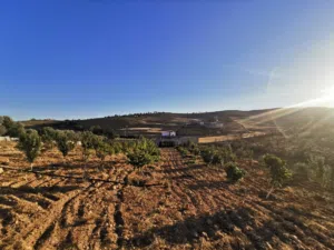 Farm Land for Sale in Jerash Dahl