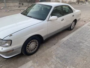 بطة منفصل للبيع