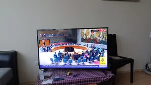 Others . Smart . 55 Inch1