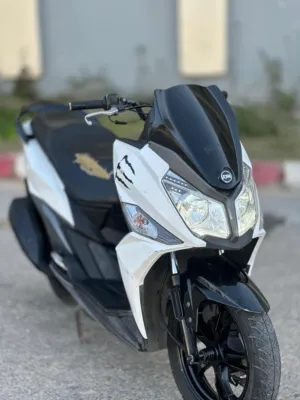 جيت-14-قنوني-ضفة-ملف-شركة