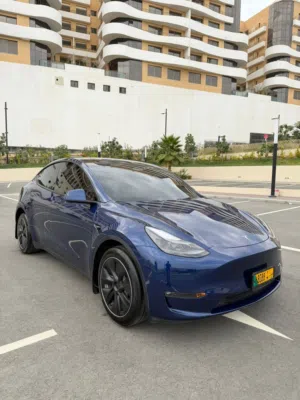 Used Tesla Model Y in Muscat