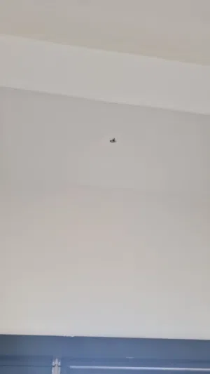 ارض كورنر ف الحيل الجنوبية قريب الشارع الرئيسى
