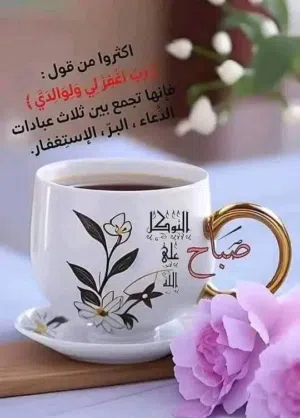 احمد المصري 