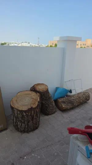 للبيع جذع شجرة