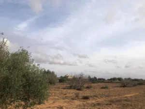 Mixed Use Land for Sale in Jumayl Other
