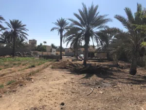 مزرعة للبيع