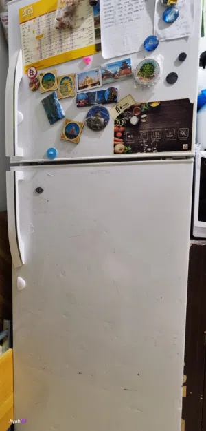 fridge top load washing machine (LG)