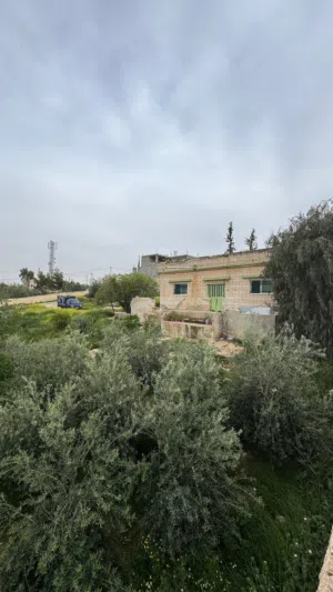 3 Bedrooms Farms for Sale in Mafraq Rhab