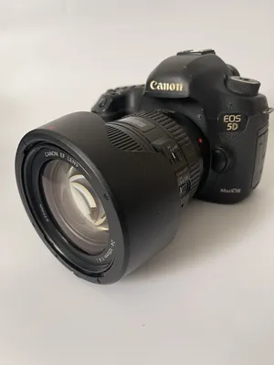 Canon 5D iii & 24 105