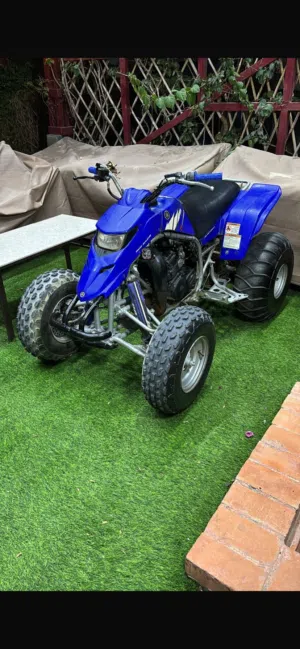 Blaster 2006