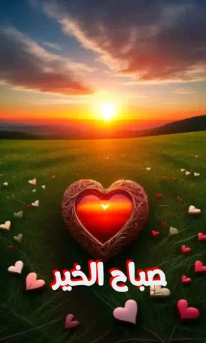نور ستار 