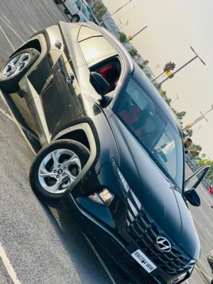 Hyundai . Tucson . Daily0