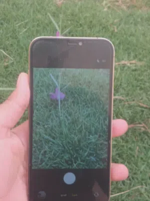 ايفون 12برو مكس زي موضح في صورة