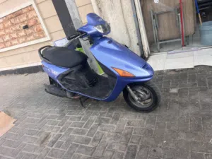 دراجه فراشه فحل