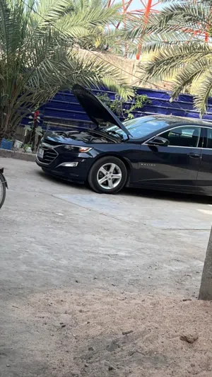 شفرليه ماليبو