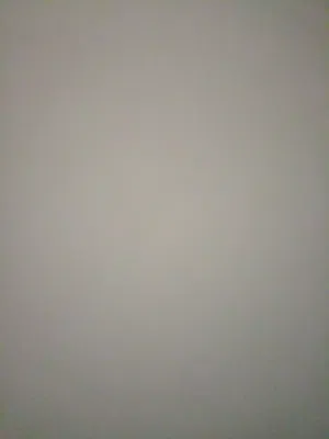نيسان صني 2021