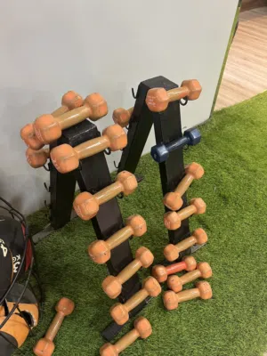 دانبيل و اوزان حرة و بار مع الاستاند للبيع Dumbbells free weights and bars for sale