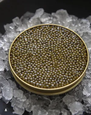 Caspian Beluga Caviar