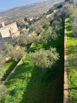 2 Bedrooms Farms for Sale in Jerash Other