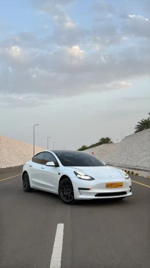 Tesla model 3 stander range 2021
