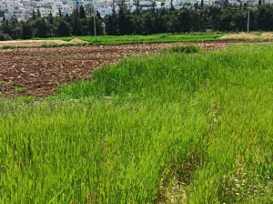 ** فرصة استثمارية نادرة على طريق المطار – لأصحاب الذوق الرفيع **