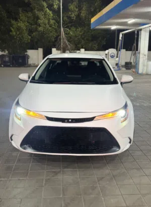Toyota LE 2022