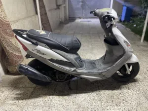ماكس منغولي للبيع