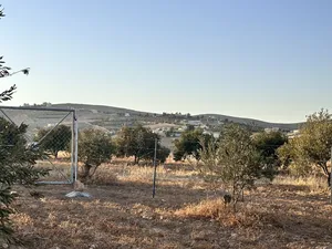 Farm Land for Sale in Zarqa Birayn