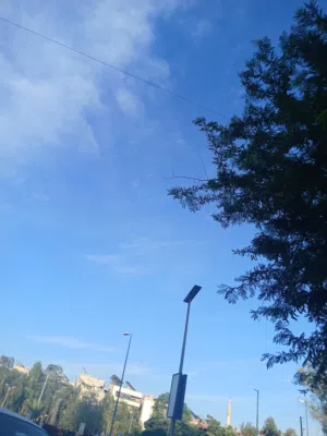 ناديا الحموي 