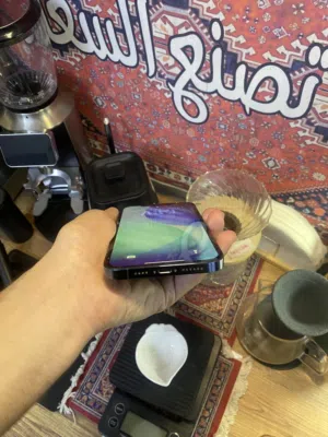 ايفون 12 برو ماكس