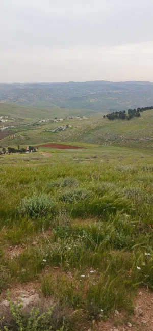 Mixed Use Land for Sale in Jerash Unaybah