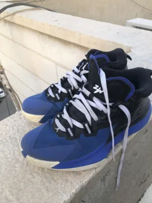 Jordan Zion 1s