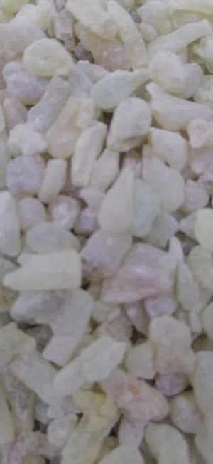 متوفر لبان عالي الجوده لبان الذكر للعلاج والاكل والشرب.. ولبان للبخور